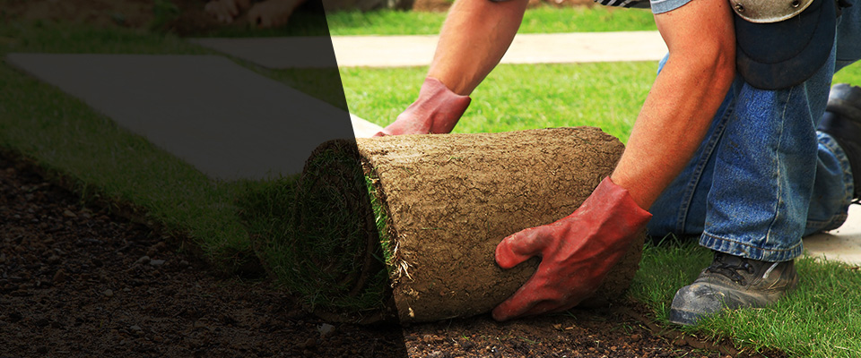 Elwood Landscapers